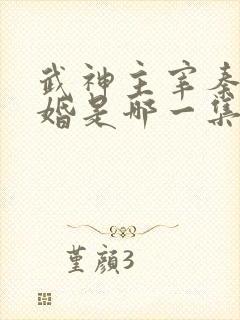 武神主宰秦尘抢婚是哪一集