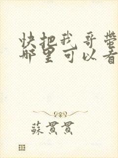 快把我哥带走在哪里可以看