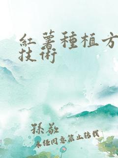 红薯种植方法和技术