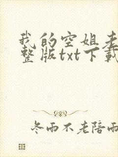 我的空姐老婆完整版txt下载