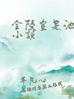 金陵岂是池中物小说