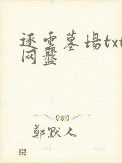 逐云墓场txt网盘