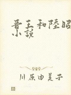 晋王和陆昭菱的小说