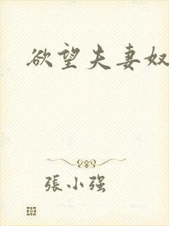 欲望夫妻奴小说