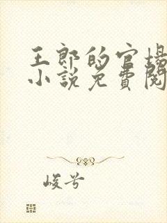 王郎的官场导师小说免费阅读