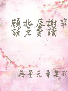 顾北辰谢宁的小说免费读