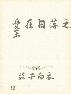 爱在日落之前女主