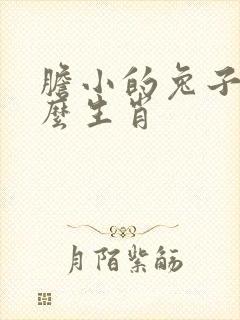 胆小的兔子指什么生肖