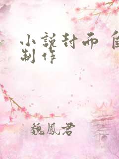 小说封面 自己制作