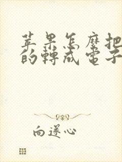 苹果怎么把手写的转成电子版