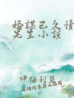 婚谋已久情迷厉先生小说