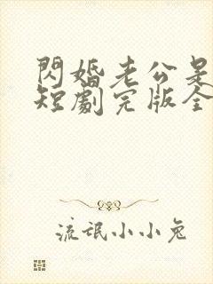 闪婚老公是总裁短剧完版全集