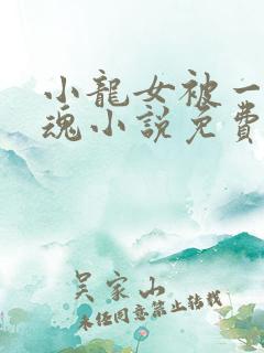 小龙女被一发入魂小说免费阅读