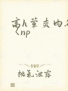 高h荤爽肉欲文〈np