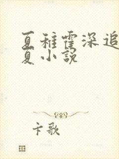 夏稚霍深追妻夏夏小说