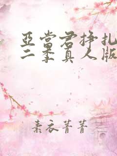 亚当君挣扎吧第二季真人版在线观看