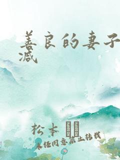 善良的妻子无删减