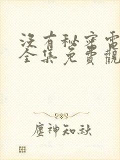 没有秘密电视剧全集免费观看