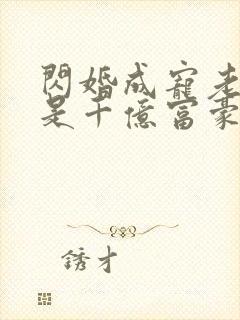 闪婚成宠老公竟是千亿富豪
