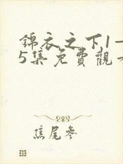 锦衣之下1—55集免费观看剧知晓