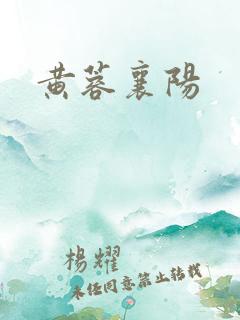 黄蓉襄阳