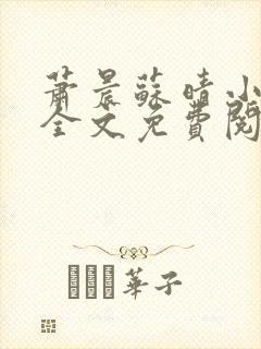 萧晨苏晴小说 全文免费阅读