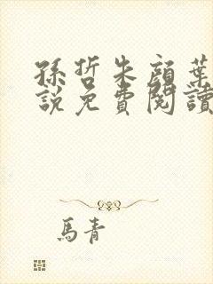 孙哲朱颜叶巧小说免费阅读