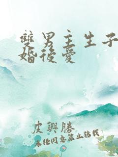 双男主生子文先婚后爱