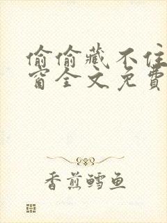 偷偷藏不住无弹窗全文免费阅读