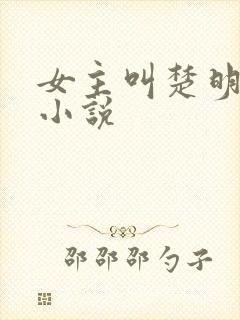 女主叫楚明月的小说