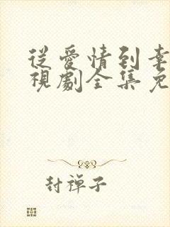从爱情到幸福电视剧全集免费观看