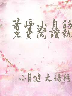 萧峥小月的小说免费阅读执掌风云