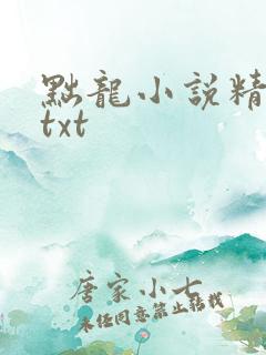 黜龙小说精校版txt