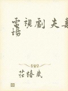 电视剧 夫妻一场