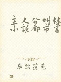 主人公叫林枫的小说都市言情小说