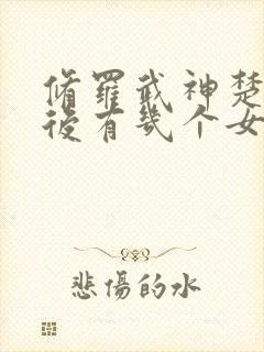 修罗武神楚枫最后有几个女人