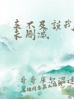 来不及说我爱你未删减