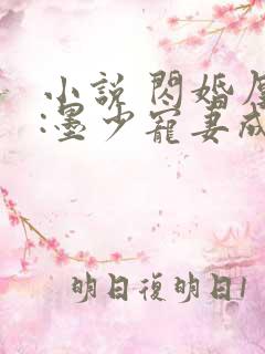 小说 闪婚厚爱:墨少宠妻成瘾