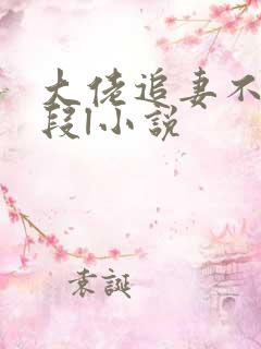 大佬追妻不择手段l小说