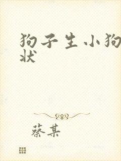 狗子生小狗前症状