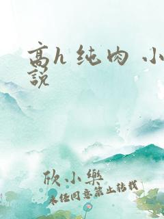 高h 纯肉 小说