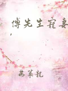 傅先生宠妻无度,