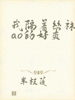 我隔着丝袜被cao的好爽