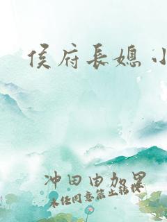 侯府长媳 小说