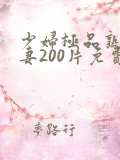 少妇极品熟妇人妻200片免费
