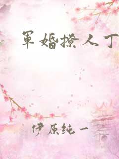 军婚撩人丁墨