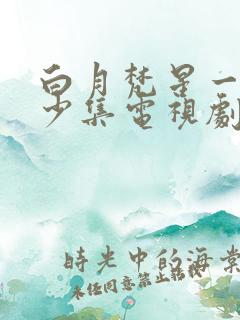 白月梵星一共多少集电视剧