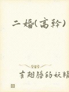 二婚(高干)