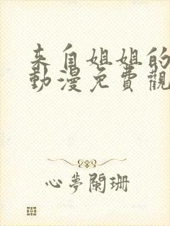 来自姐姐的关心动漫免费观看全集