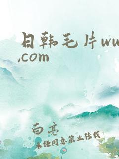 日韩毛片www,com